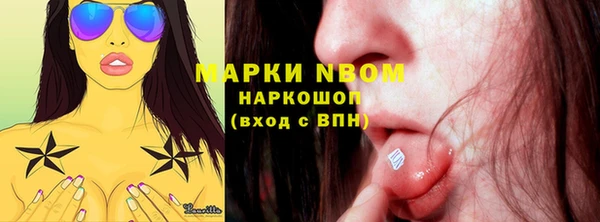 шишки Козловка