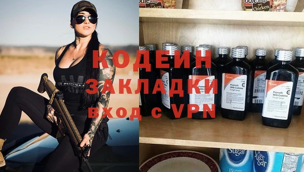 шишки Козловка