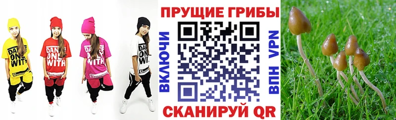 Галлюциногенные грибы мицелий  Купить закладки  Артёмовский 